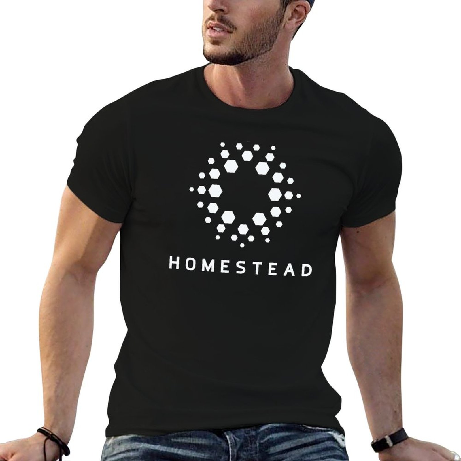 Homestead - Passengers - Light - Homestead Lighting & Decor Oconomowoc ulasan dan harga