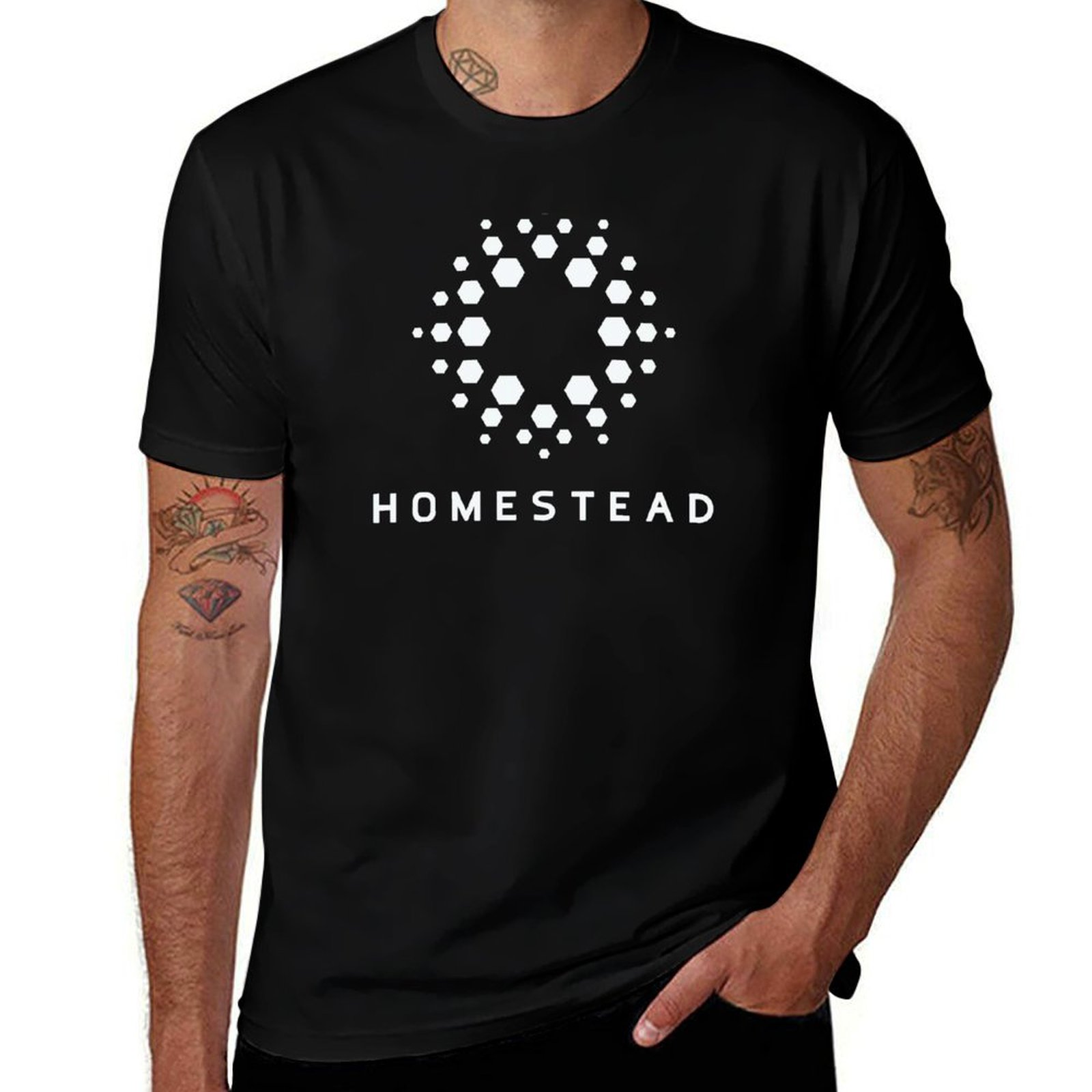 Homestead - Passengers - Light - Homestead Lighting & Decor Oconomowoc ulasan dan harga